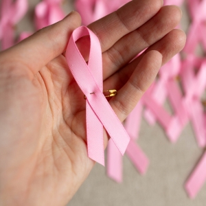 Focus sur le noeud rose