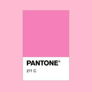 Pantone Rose